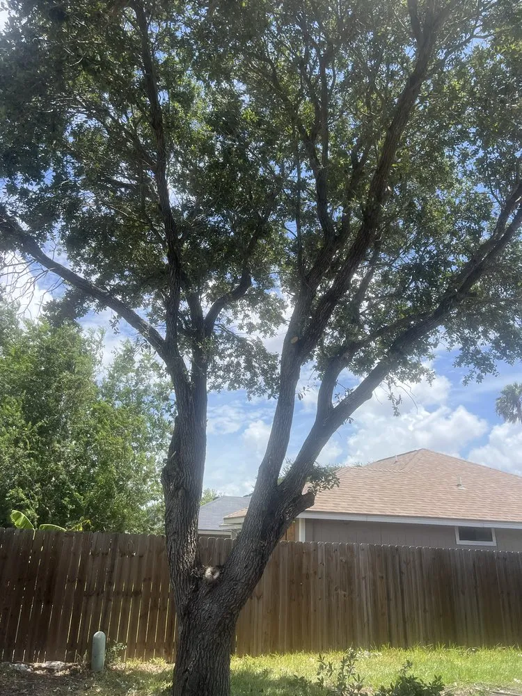 Expert landscape design experts serving Corpus Christi, TX - 3G Lawn Services