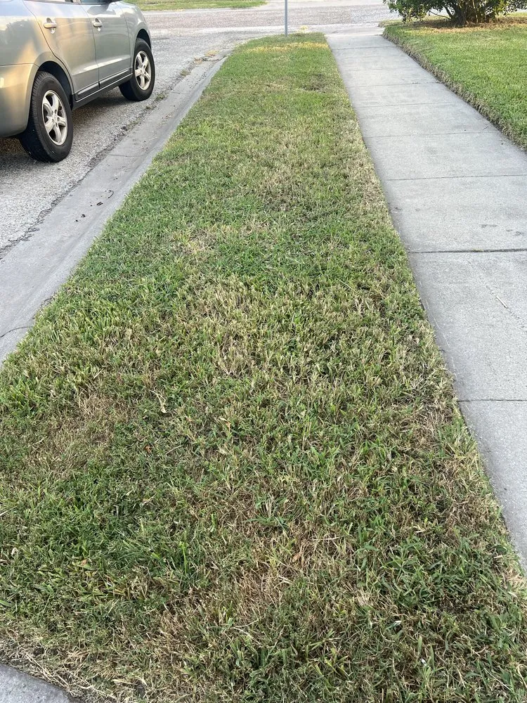 Top-rated lawn care service in Corpus Christi, TX by 3G Lawn Services