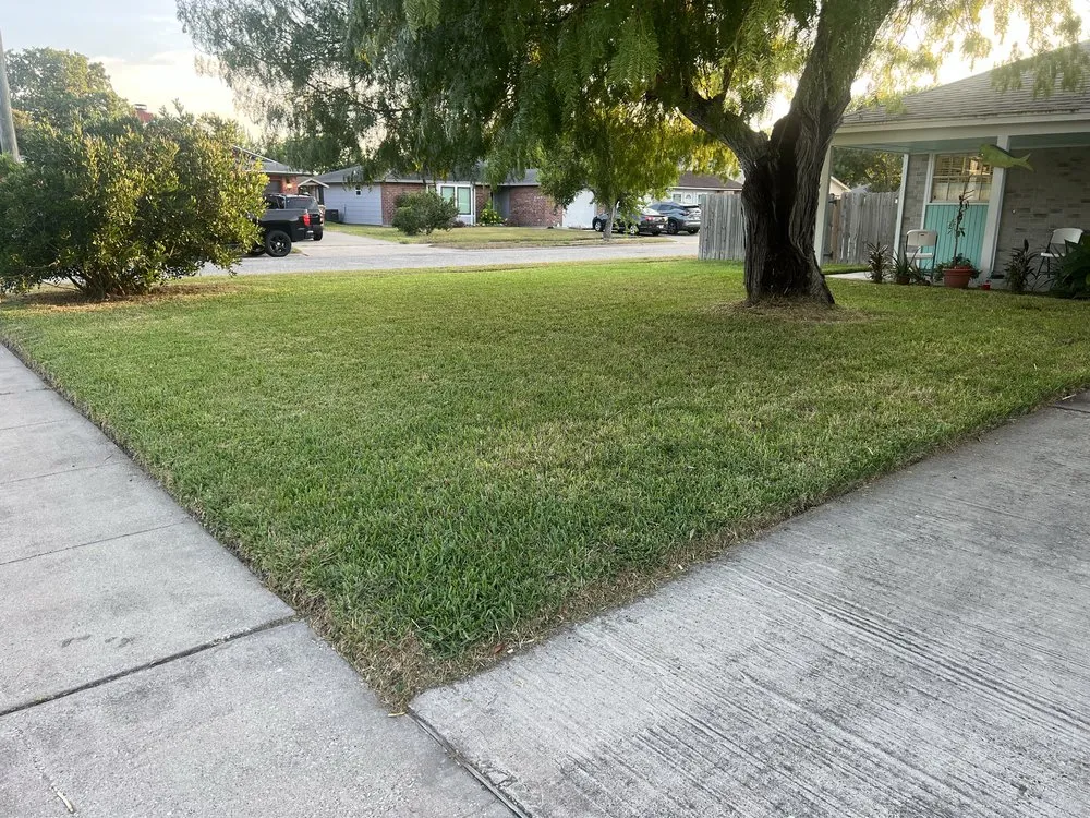 Reliable lawn care service for year-round maintenance in Corpus Christi, TX by 3G Lawn Services