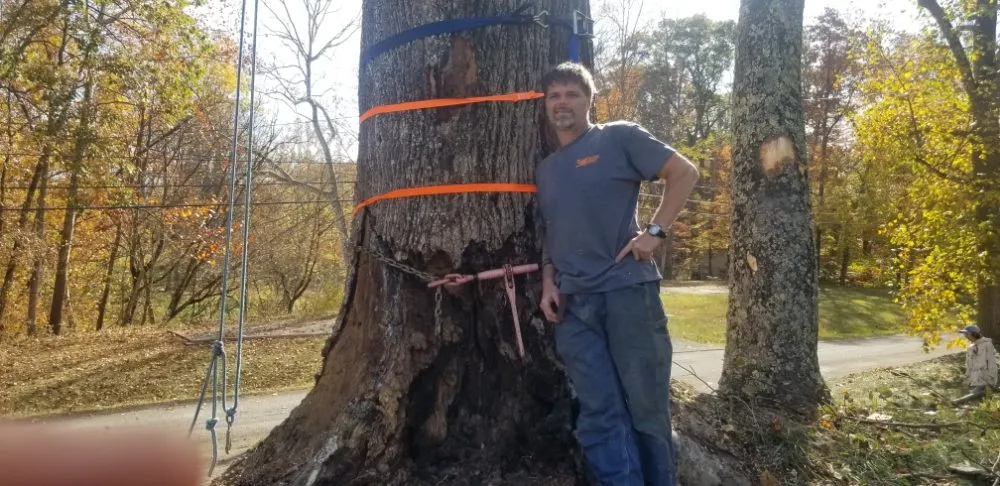 Custom yard cleanup service in Thomas, WV - 3G Tree Service