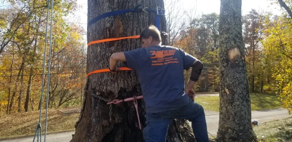 Trusted landscape installation in Thomas, WV by 3G Tree Service
