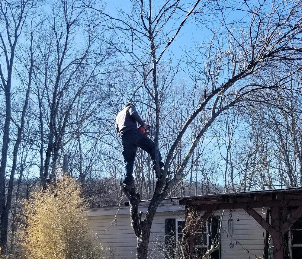 Affordable residential landscaping in Thomas, WV by 3G Tree Service