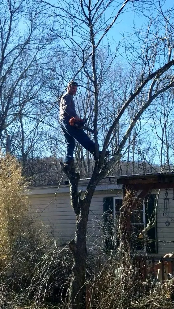Custom lawn care service near you in Thomas, WV by 3G Tree Service