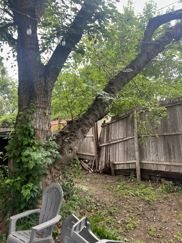 Professional residential landscaping for residential properties in Bryan, TX by 3GK Remodeling and Landscaping