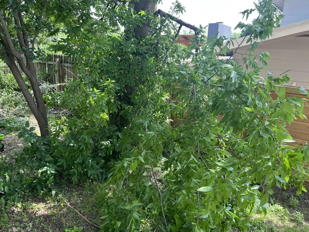 Affordable outdoor landscaping near you in Bryan, TX by 3GK Remodeling and Landscaping