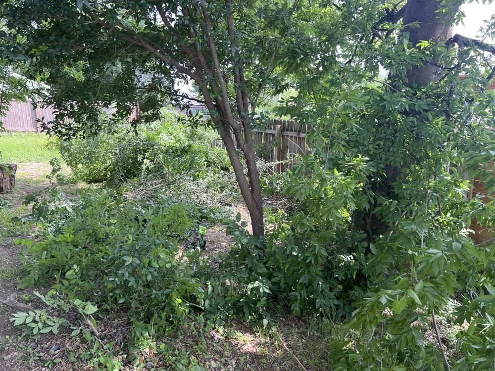 Custom lawn care service in Bryan, TX by 3GK Remodeling and Landscaping