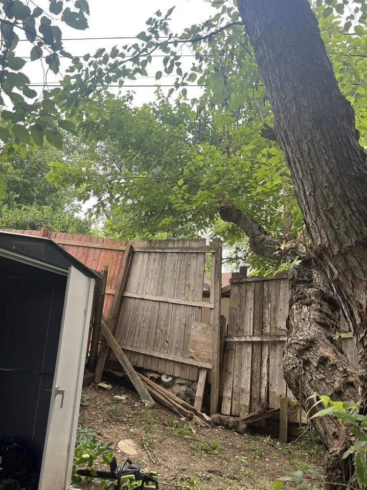 Expert yard cleanup service in Bryan, TX - 3GK Remodeling and Landscaping