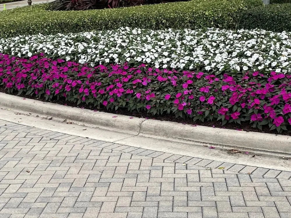Custom outdoor landscaping experts serving Jupiter, FL - 3H Landscaping