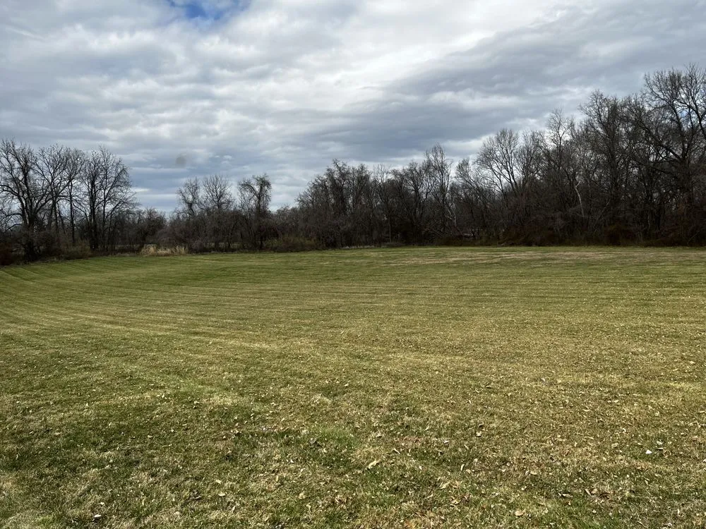 Reliable yard cleanup service near you in Lexington, MO by 3HMowing