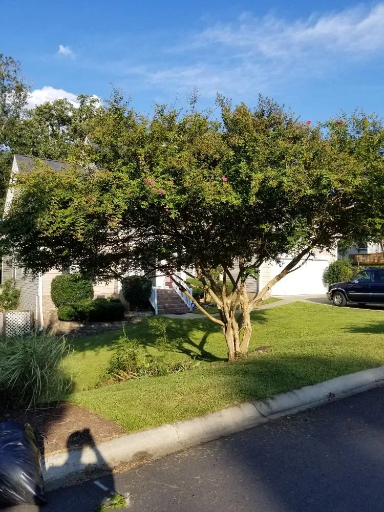 Reliable landscape installation for year-round maintenance across Irmo, SC - 3J and L Landscaping