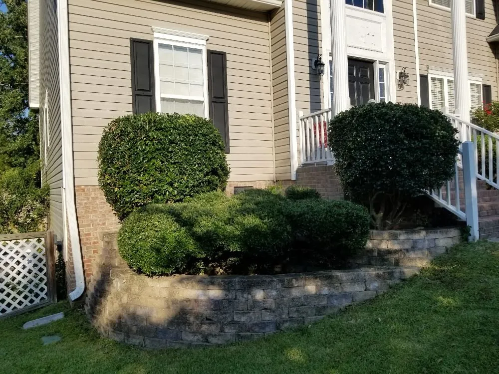 Custom yard cleanup service experts serving Irmo, SC - 3J and L Landscaping