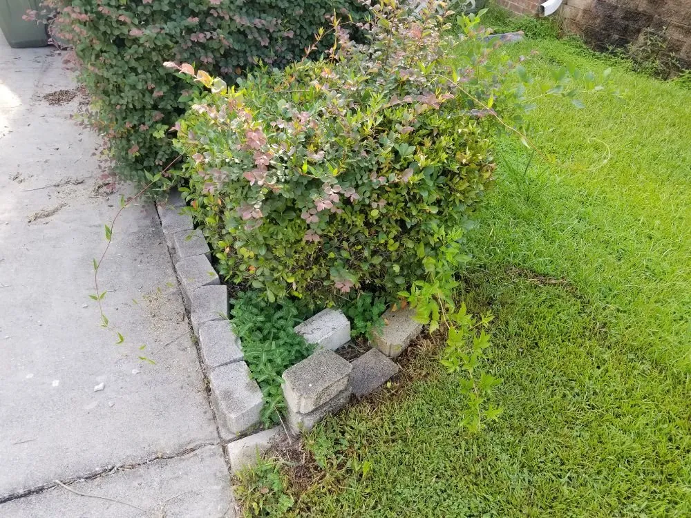 Top-rated lawn care service experts serving Irmo, SC - 3J and L Landscaping