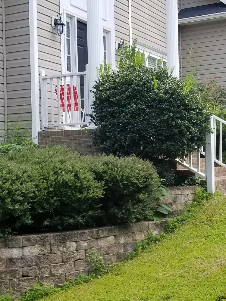 Affordable yard maintenance in Irmo, SC - 3J and L Landscaping