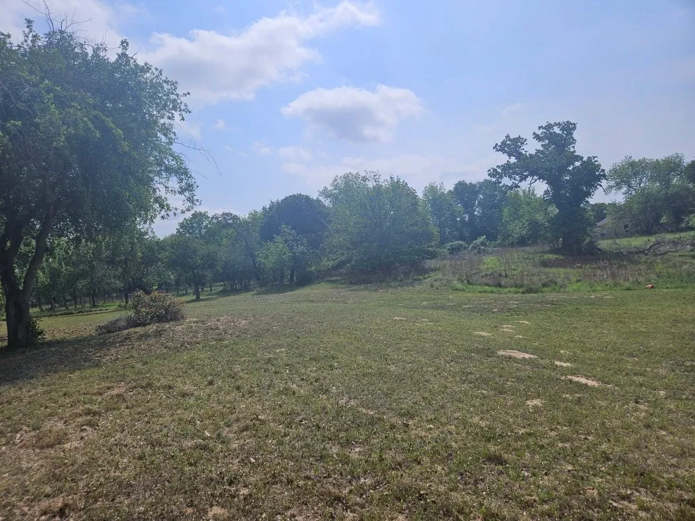 Top-rated lawn mowing service for year-round maintenance in Floresville, TX by 3K Landscaping