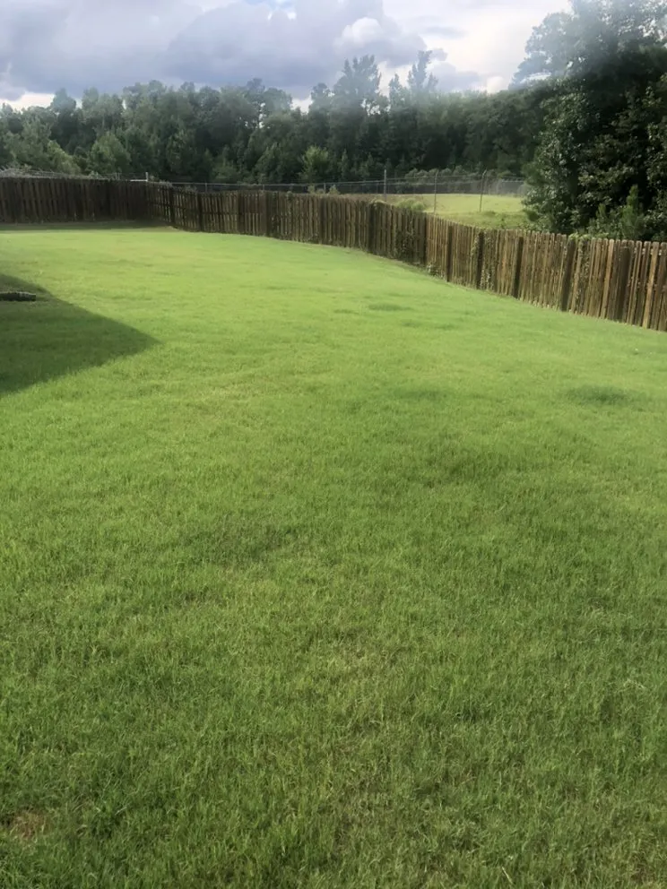 Trusted landscape design in Grovetown, GA - 3king lawn care