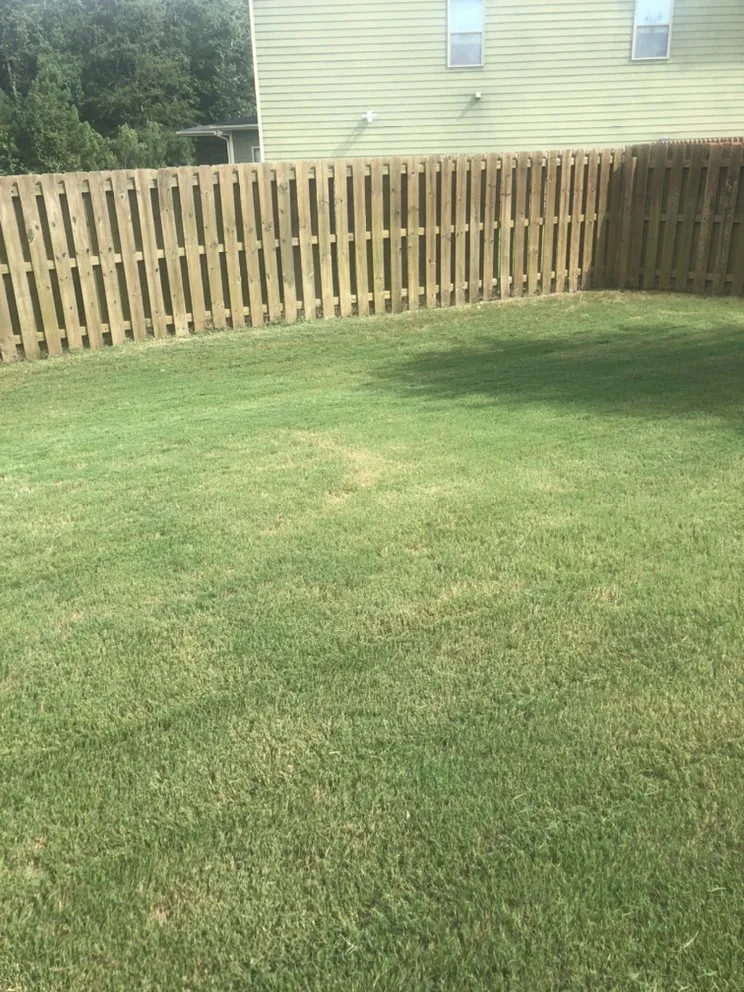 Reliable yard maintenance for outdoor upgrades across Grovetown, GA - 3king lawn care