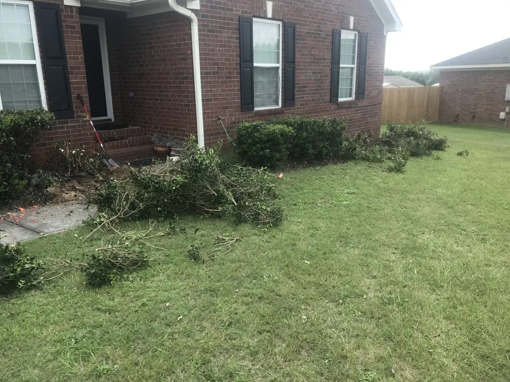 Expert yard maintenance in Grovetown, GA - 3king lawn care