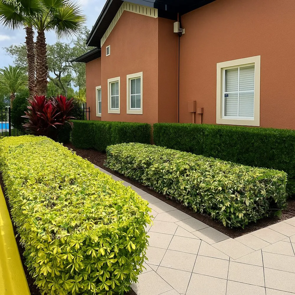 Affordable lawn care service for year-round maintenance in Orlando, FL by 3L Gardens