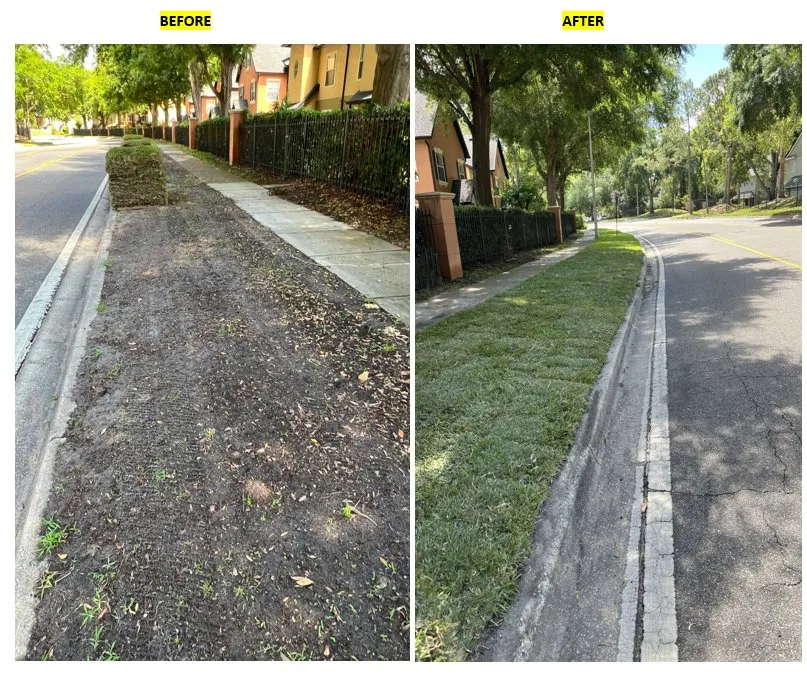 Professional yard cleanup service for year-round maintenance across Orlando, FL - 3L Gardens