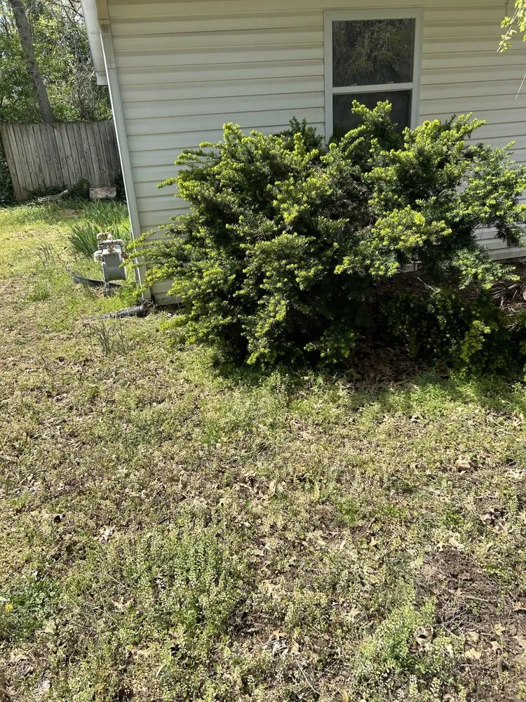 Top-rated garden landscaping in Kincaid, KS - 3L Lawn And Landscape