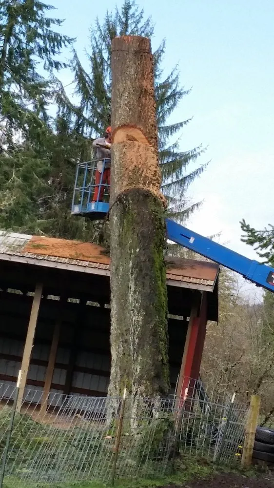 Local landscaping services for outdoor upgrades across Centralia, WA - 3MB Tree Removal and Logging