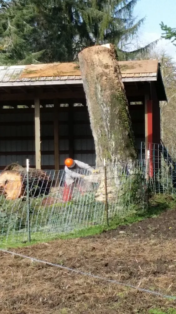 Professional residential landscaping in Centralia, WA - 3MB Tree Removal and Logging