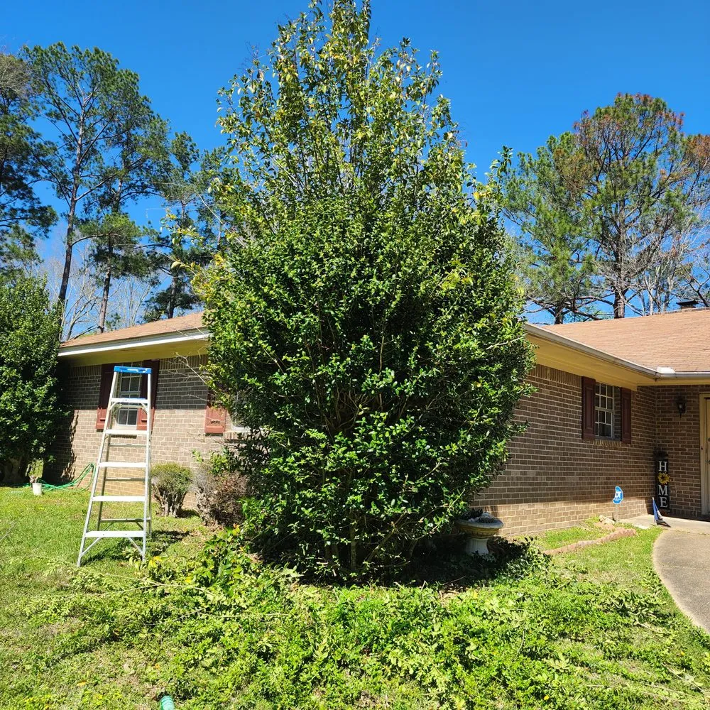 Affordable residential landscaping for year-round maintenance in Jackson, MS by 3MD Landscaping