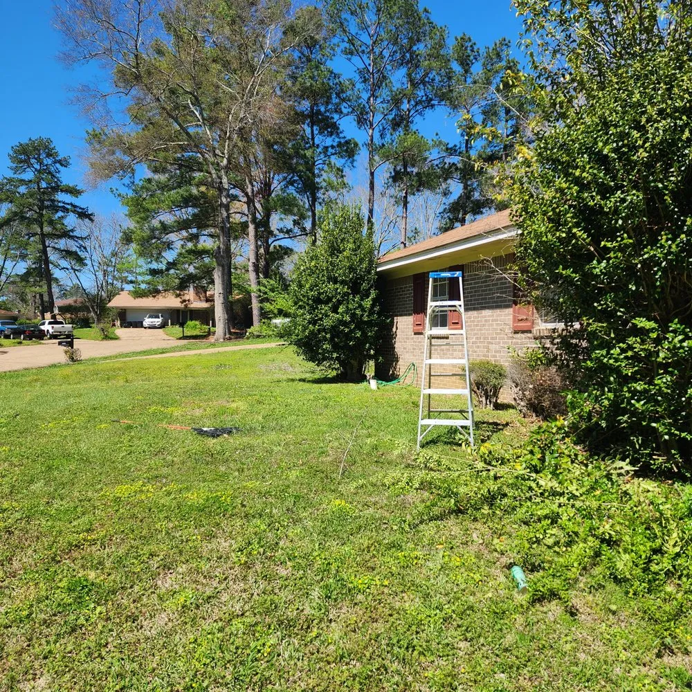 Expert yard maintenance experts serving Jackson, MS - 3MD Landscaping