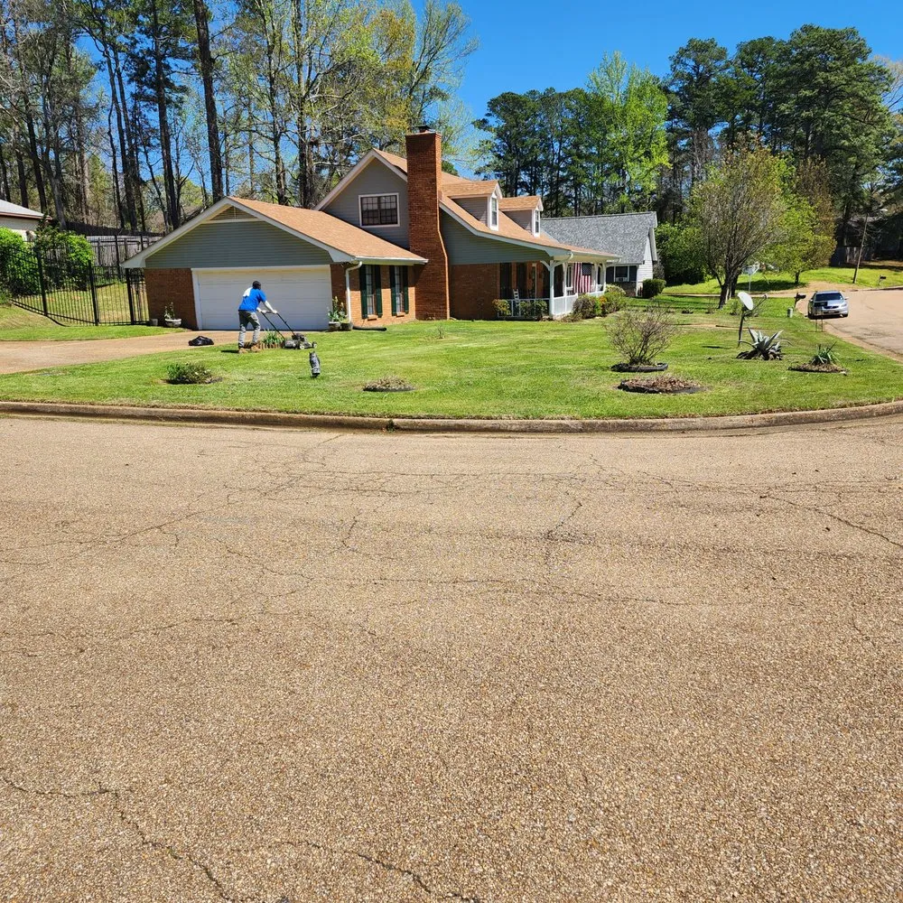 Trusted yard cleanup service experts serving Jackson, MS - 3MD Landscaping