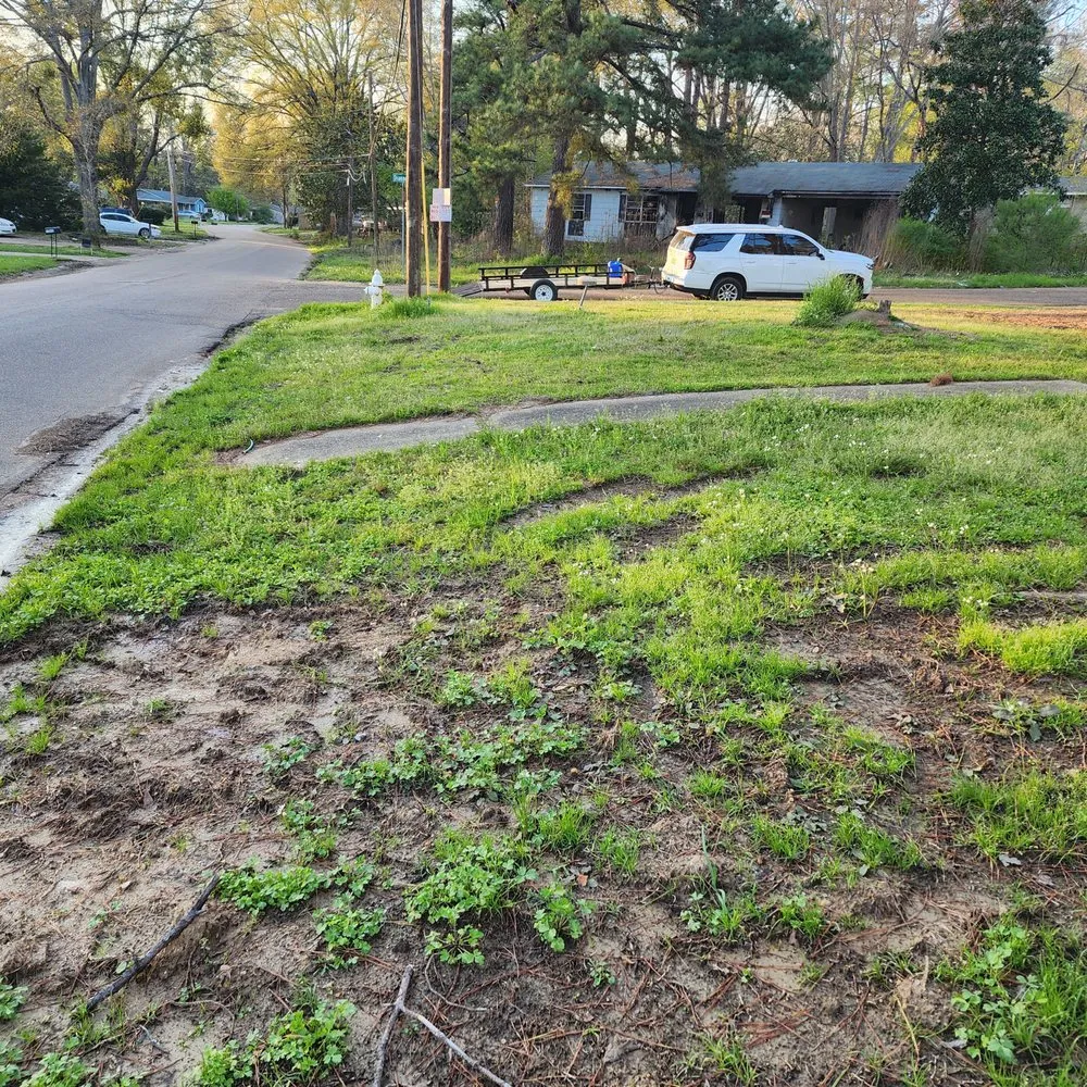 Local residential landscaping for residential properties in Jackson, MS by 3MD Landscaping