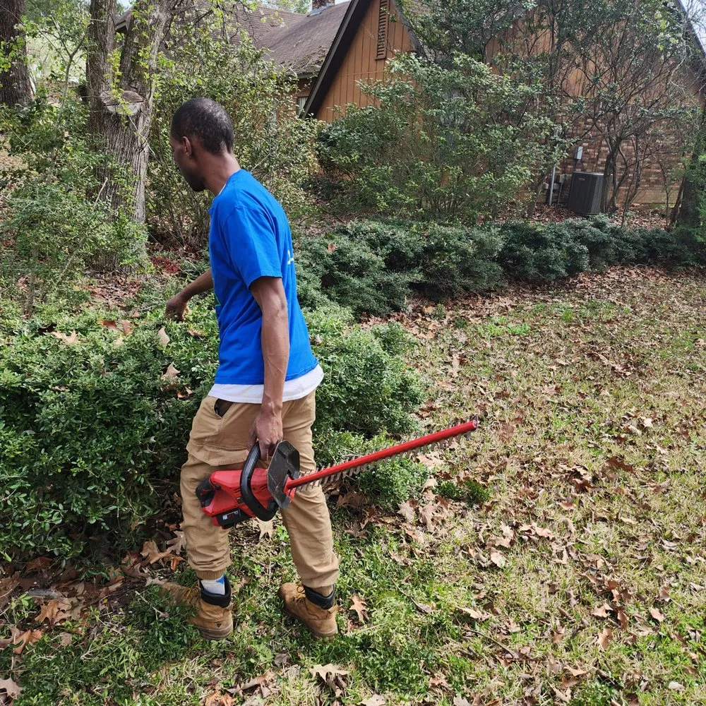 Local outdoor landscaping for year-round maintenance in Jackson, MS by 3MD Landscaping