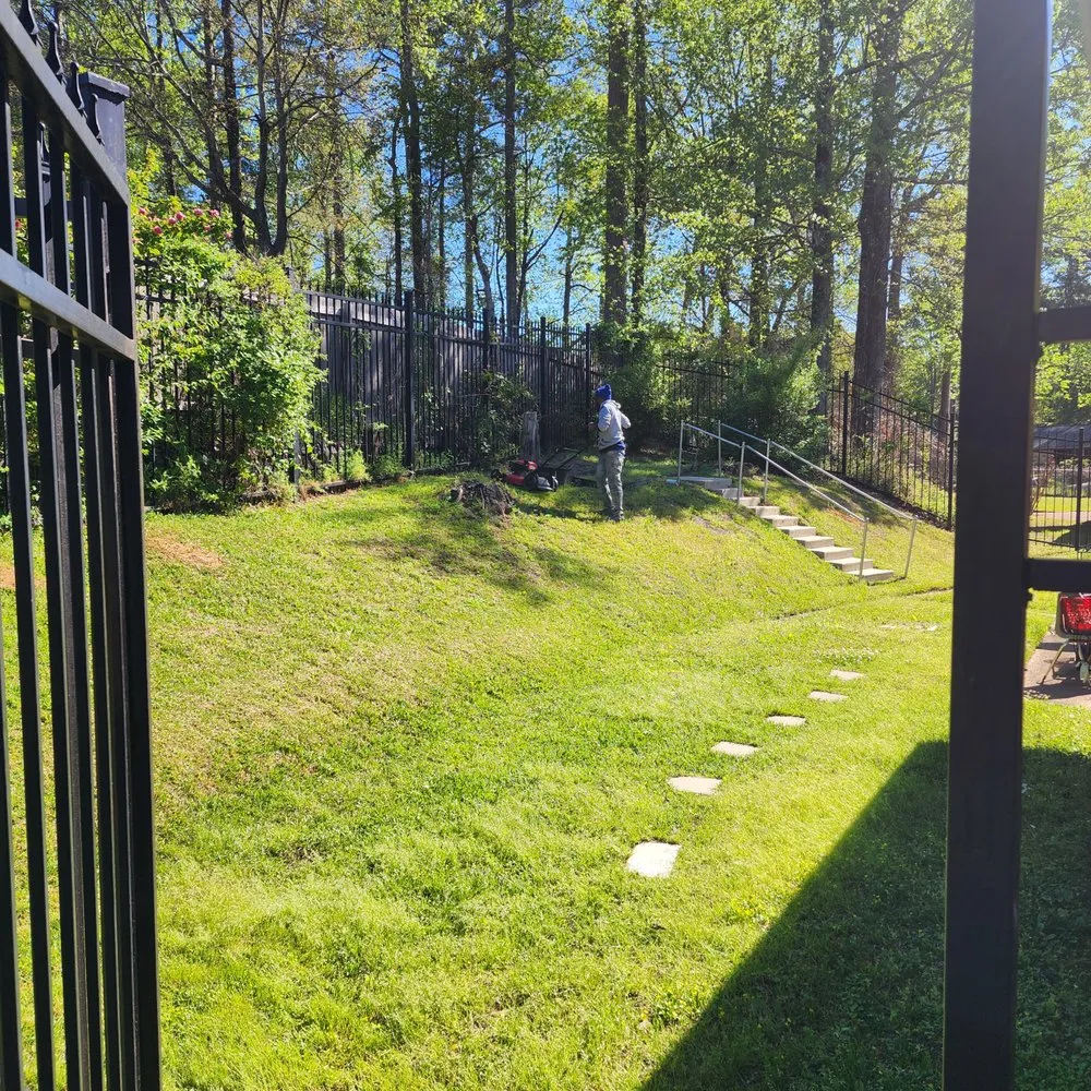 Professional yard maintenance for year-round maintenance in Jackson, MS by 3MD Landscaping