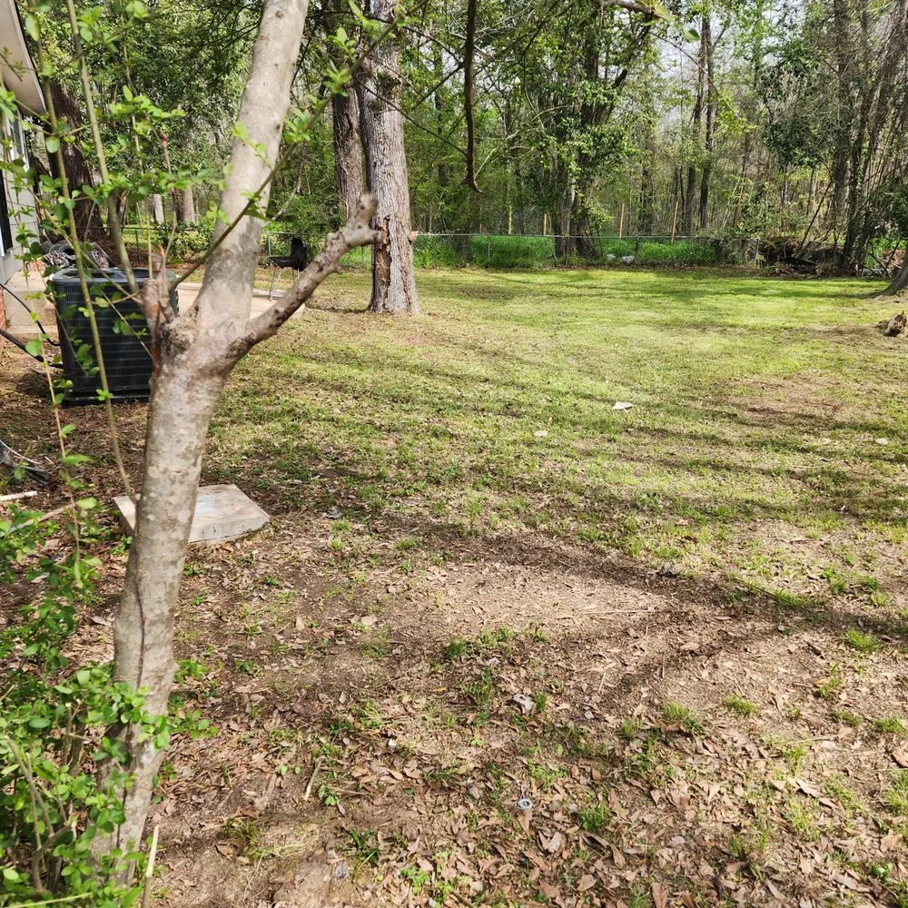 Trusted yard maintenance for year-round maintenance in Jackson, MS by 3MD Landscaping