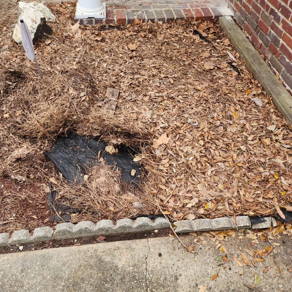 Trusted yard cleanup service for homes in Jackson, MS by 3MD Landscaping