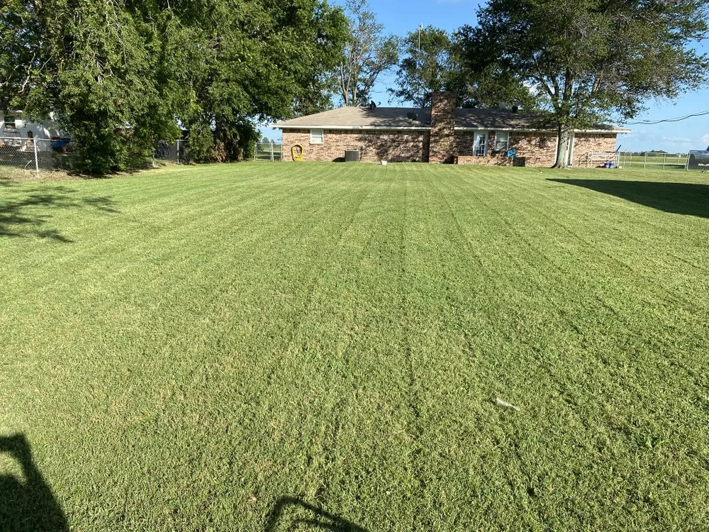 Affordable yard maintenance experts serving Mabank, TX - 3MR Lawn Care