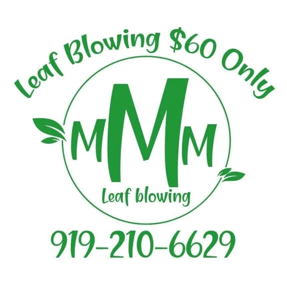 Professional lawn care service for year-round maintenance across Raleigh, NC - 3M's Leaf Blowing and Removal
