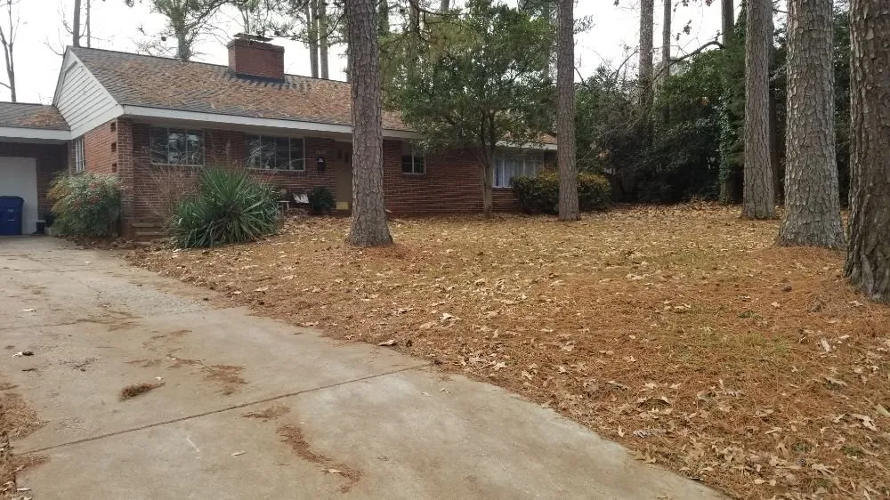 Affordable landscape design for beautiful yards in Raleigh, NC by 3M's Leaf Blowing and Removal