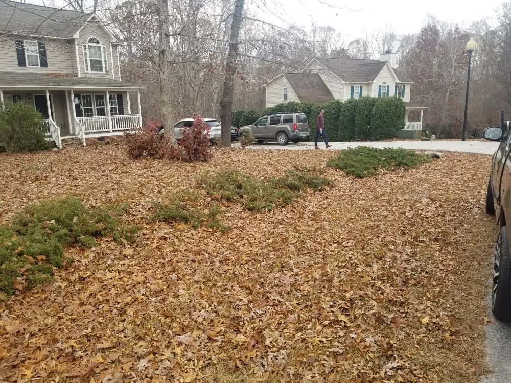Top-rated landscape installation in Raleigh, NC - 3M's Leaf Blowing and Removal