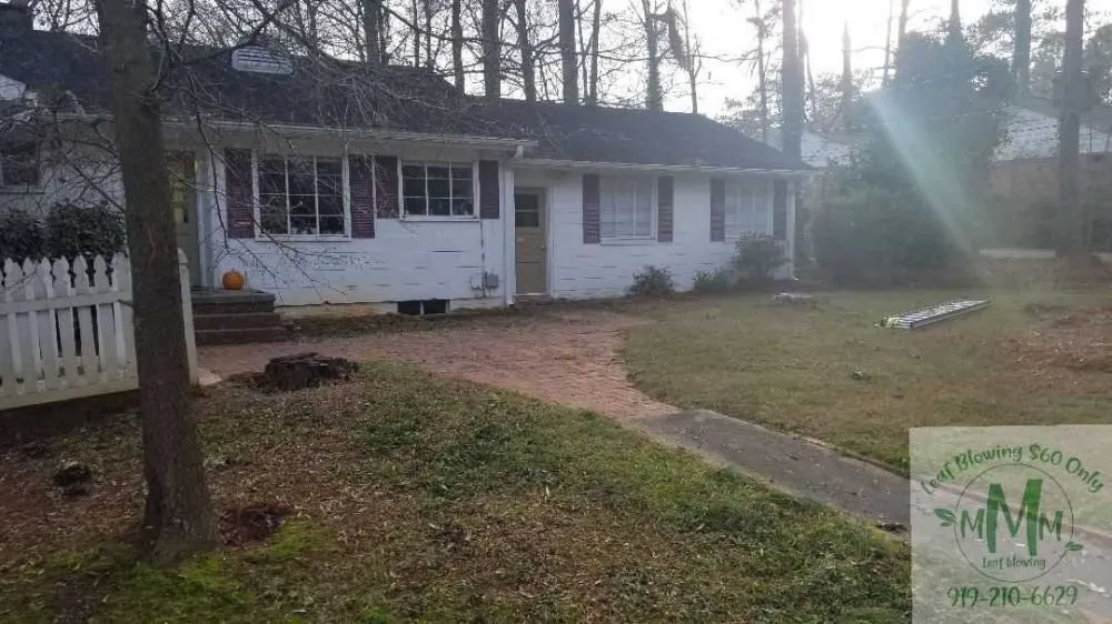 Trusted outdoor landscaping experts serving Raleigh, NC - 3M's Leaf Blowing and Removal