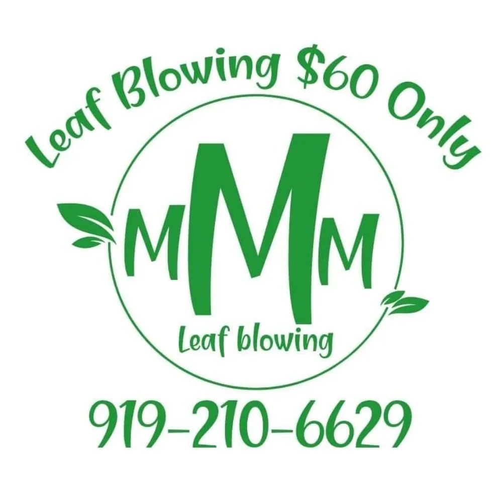 Custom lawn care service in Raleigh, NC - 3M's Leaf Blowing and Removal