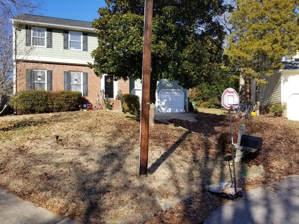 Reliable landscaping services in Raleigh, NC by 3M's Leaf Blowing and Removal