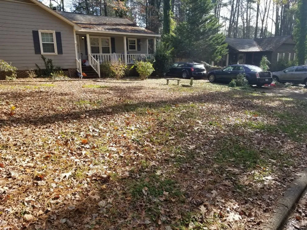 Reliable landscape installation for homes across Raleigh, NC - 3M's Leaf Blowing and Removal
