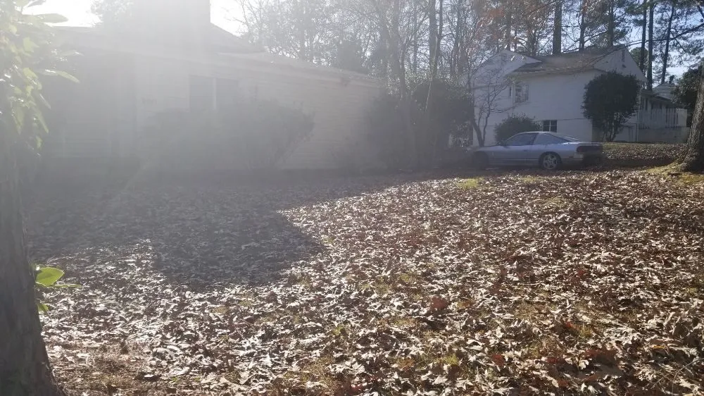 Local landscape design in Raleigh, NC - 3M's Leaf Blowing and Removal