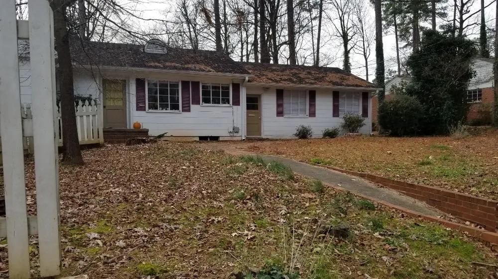 Expert lawn care service in Raleigh, NC - 3M's Leaf Blowing and Removal