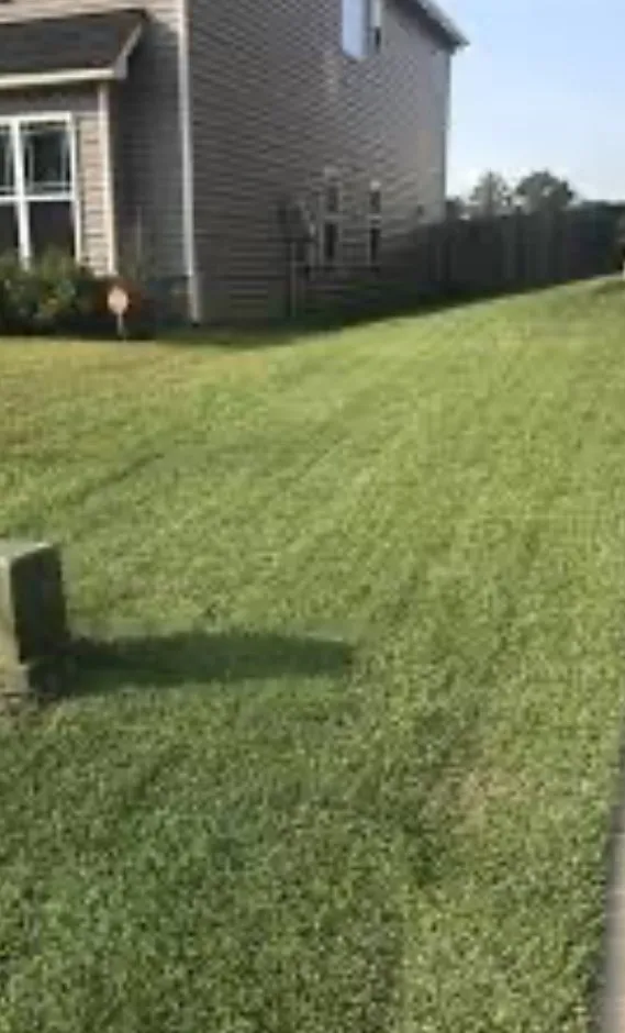 Trusted landscape installation in Talladega, AL - 3N1 Lawn Care