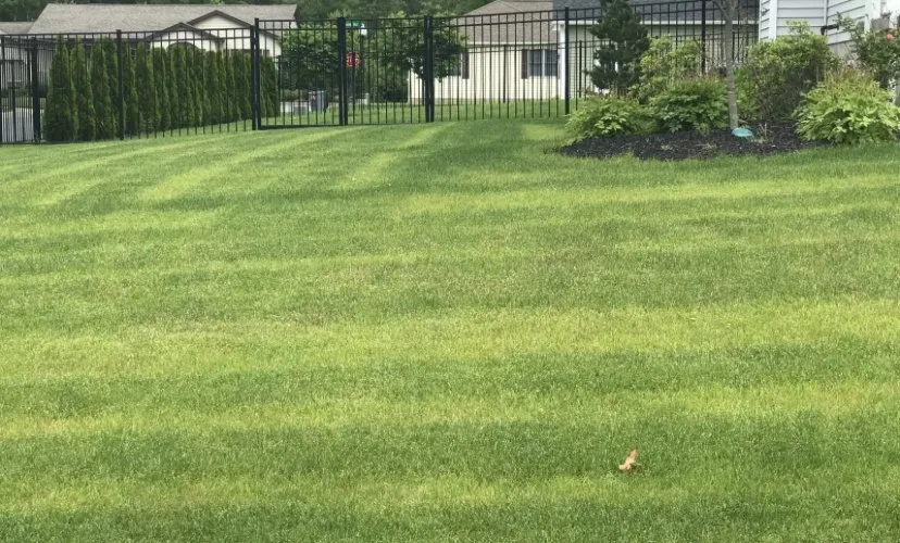 Custom outdoor landscaping in Talladega, AL by 3N1 Lawn Care