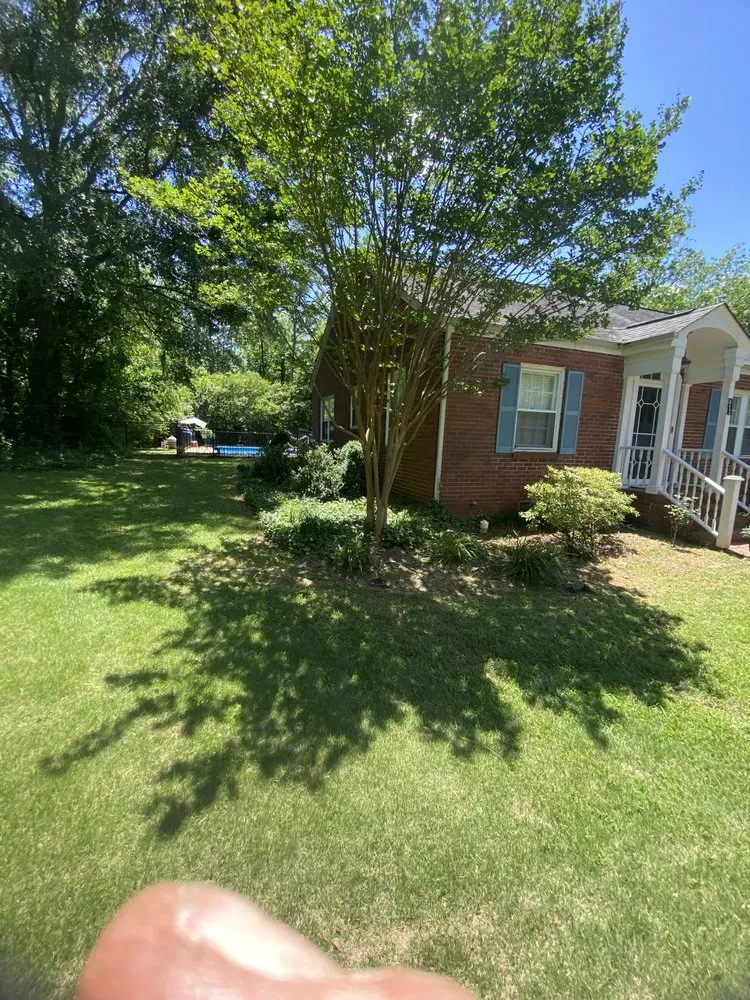 Top-rated landscaping services experts serving Talladega, AL - 3N1 Lawn Care