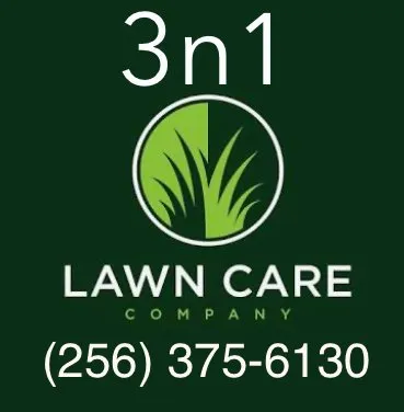 Expert lawn care service near you across Talladega, AL - 3N1 Lawn Care