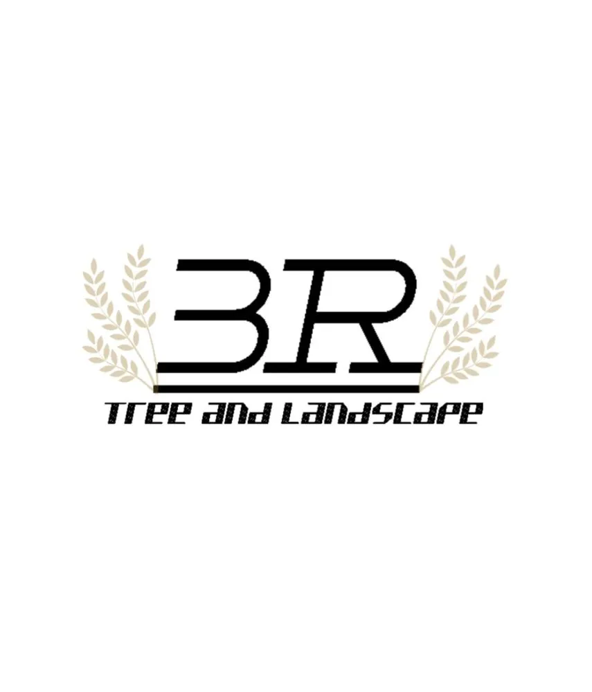 Local landscaping services in Las Vegas, NV by 3R Tree And Landscape