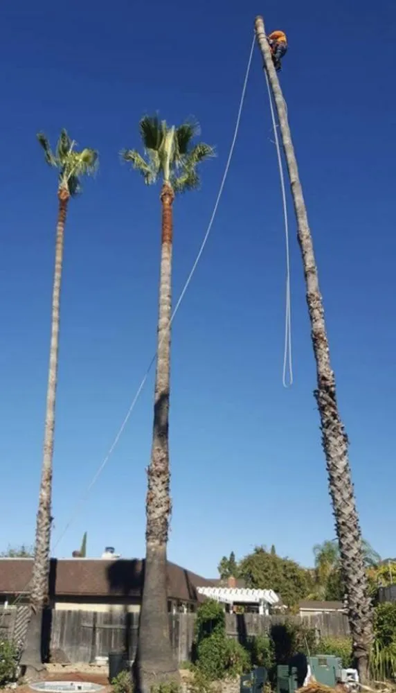 Reliable residential landscaping experts serving Winchester, CA - 3R Tree Service and landscape